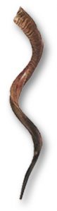 shofar-1